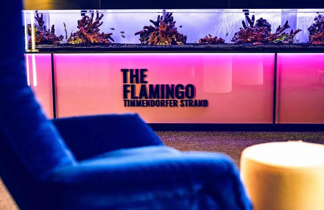 The Flamingo-1